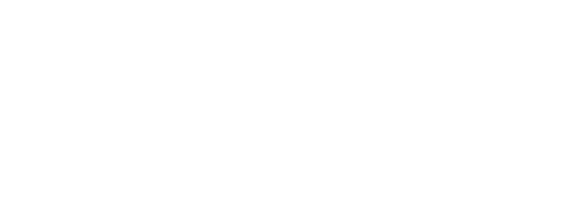 Chip Insurance Logo